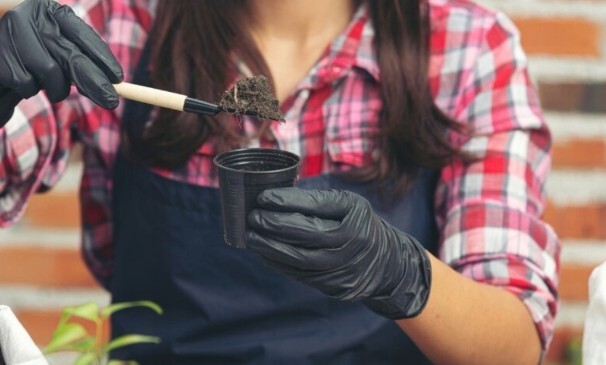 rukavice do záhrady